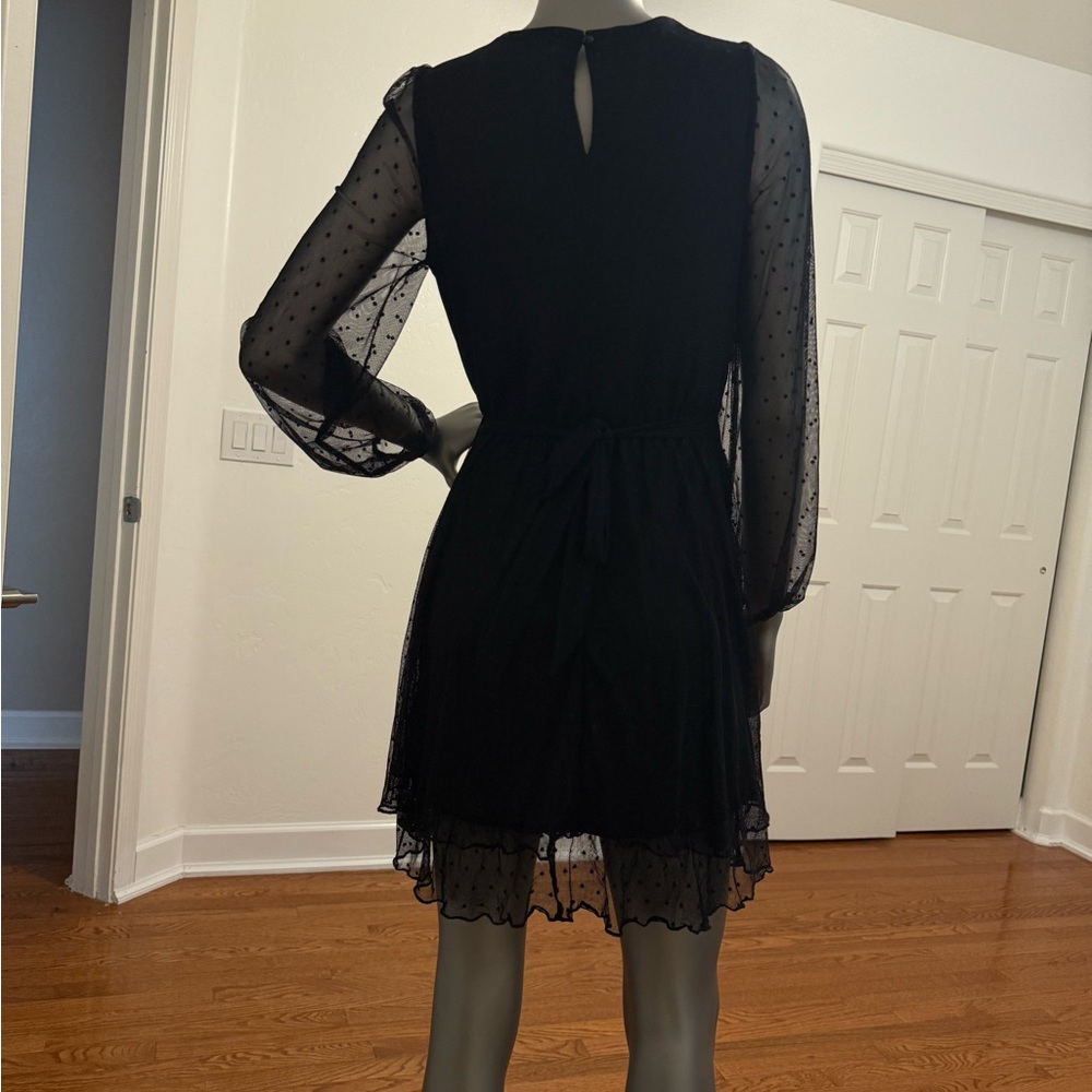Allison & Kelly Black Polka Dot Sheer Mini Long Sleeve whimsigoth Dress - Picture 8 of 9